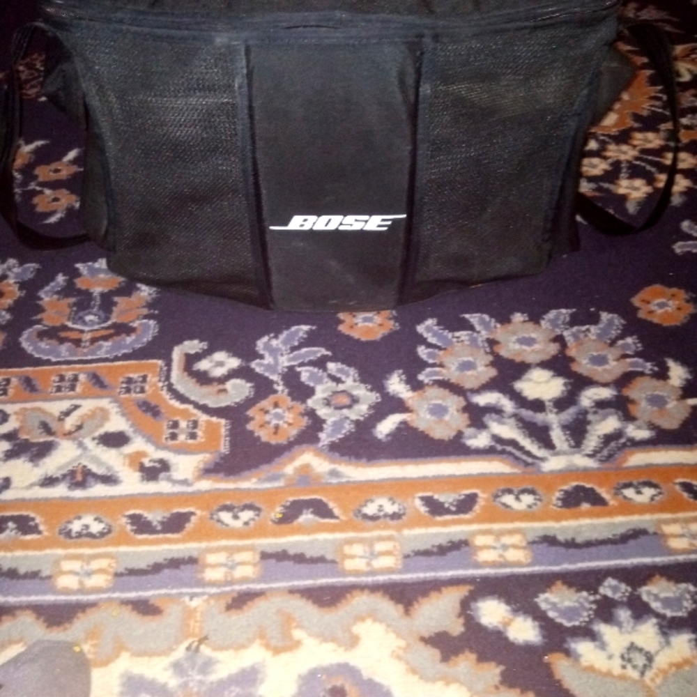 Bose Environmental Speakers.